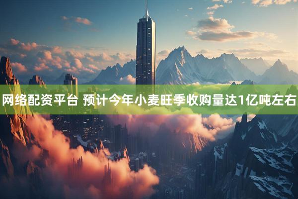 网络配资平台 预计今年小麦旺季收购量达1亿吨左右
